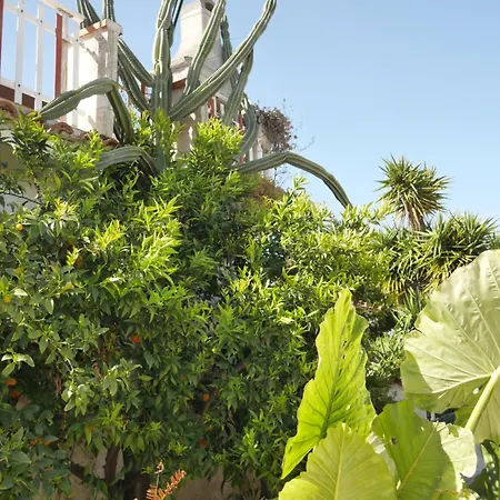 Dimora Dana Bed & Breakfast