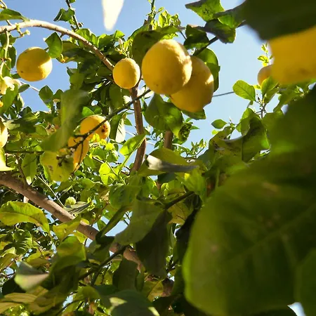 Bed & Breakfast Dimora Dana Pollutri