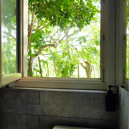 Bed and Breakfast Dimora Dana Pollutri