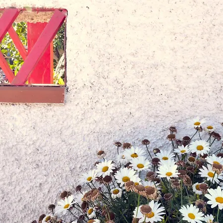 Dimora Dana 3* Pollutri