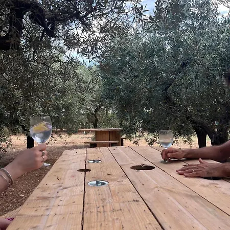 Dimora Dana Bed & Breakfast 3*