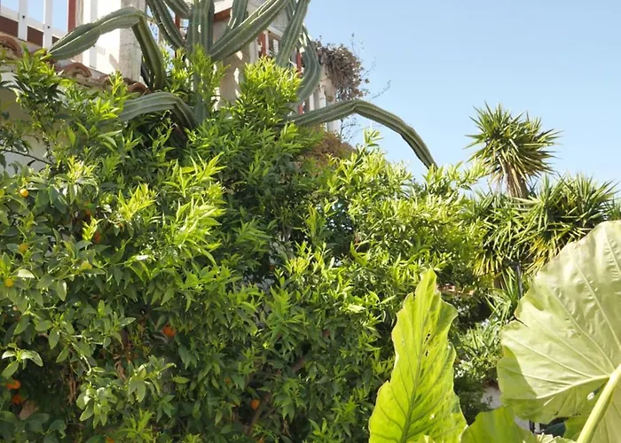 Dimora Dana Отель типа 